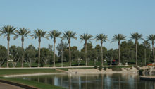 A View in Scottsdale